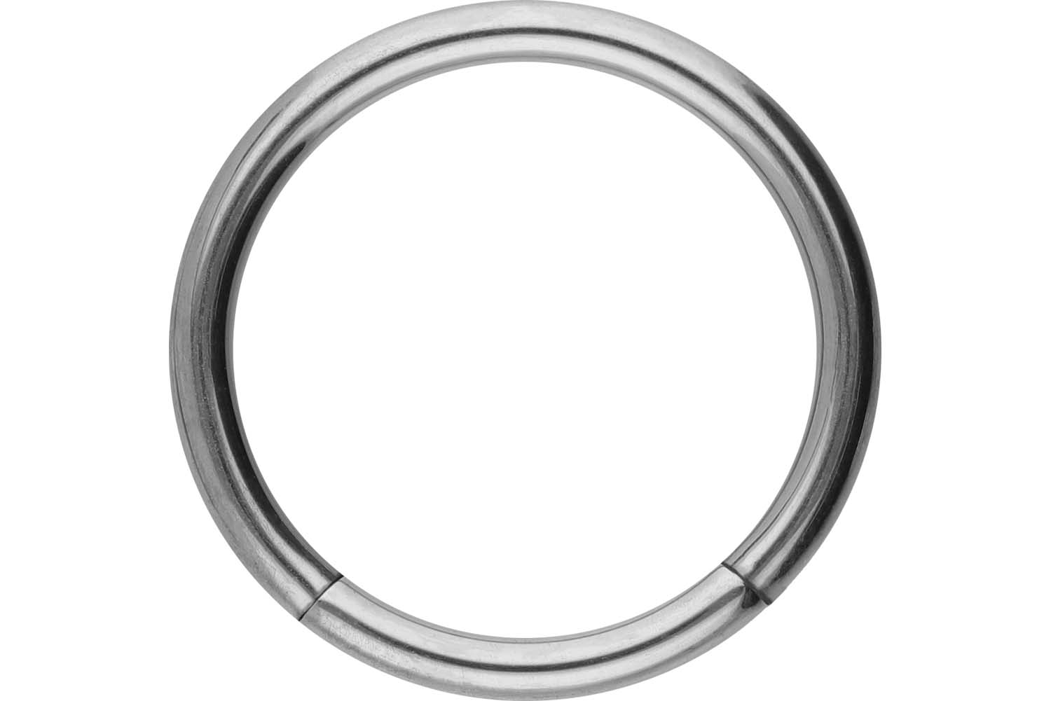 Titan Segmentring von Piercingline